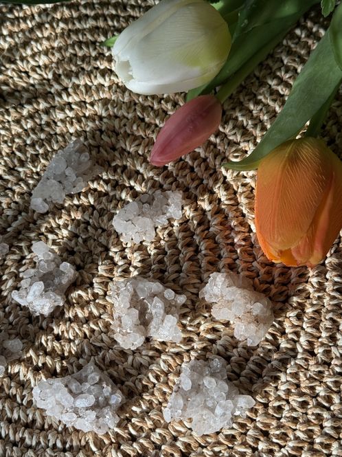 Hovedbilde Norsk mini gruppe 