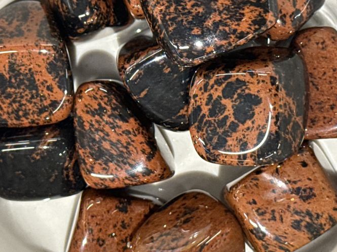 Hovedbilde Obsidian mahogni XL