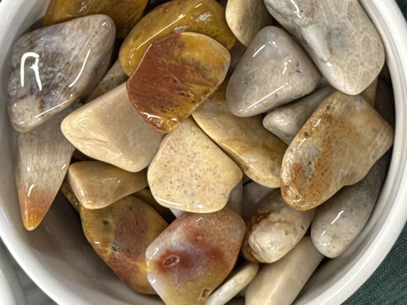 Korall, agatisert tromlet medium