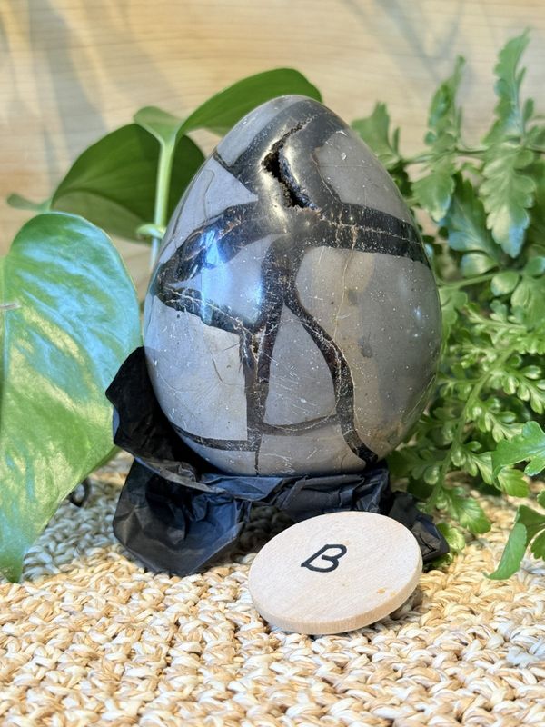 Septarian egg 8,5 cm