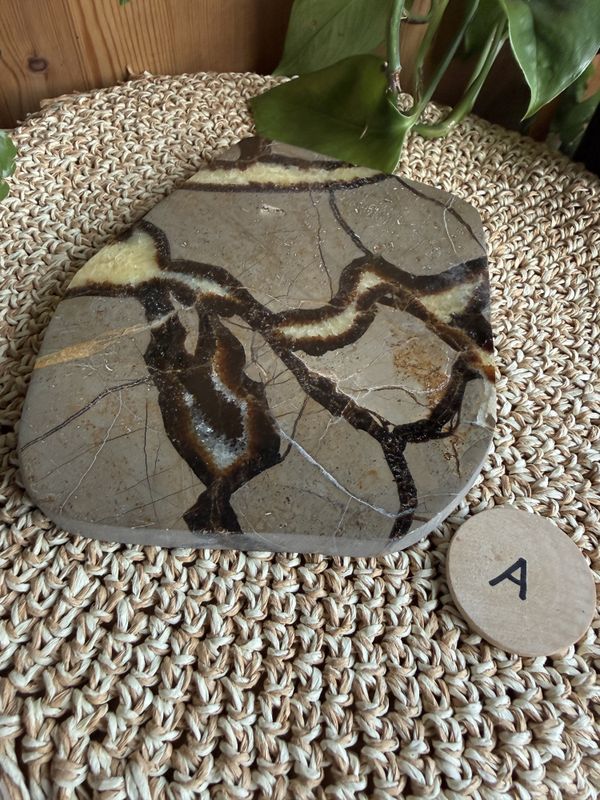 Septarian skive (#56)