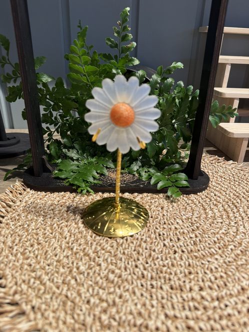 Hovedbilde Tusenfryd i selenitt og oransje kalsitt